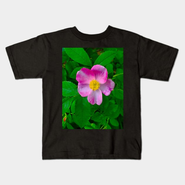 Wild Carolina Rose Kids T-Shirt by etherealwonders